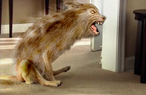 ass-dragging-werewolf
