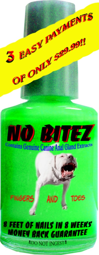 no-bitez-emtoastcom