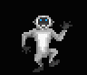 monkey_1